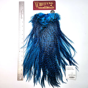 Grizzly dyed Kingfisher Blue - Whiting Coq de Leon Rooster Saddle | Silver Grade (#2)