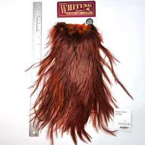 Badger dyed Orange - Whiting Coq de Leon Rooster Saddle | Silver Grade (#3)