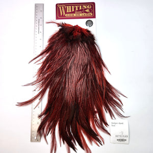 Badger dyed Red - Whiting Coq de Leon Rooster Saddle | Silver Grade (#2)
