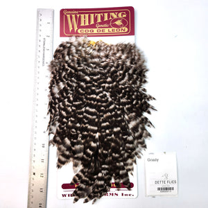 Grizzly - Whiting Coq de Leon Hen Saddle (#3)