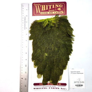 Speckled dyed Fl Green Chartreuse - Whiting Coq de Leon Hen Saddle (#4)