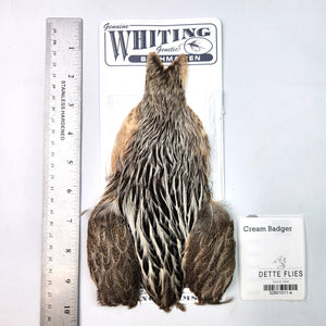 Cream Badger - Whiting Brahma Hen Cape (#4)