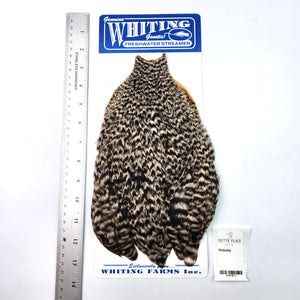 Grizzly - Whiting Freshwater Streamer Rooster Cape (#1)