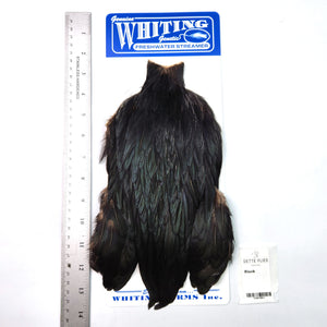 Black - Whiting Freshwater Streamer Rooster Cape (#1)