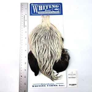 Silver Badger - Whiting Freshwater Streamer Rooster Cape (#1)