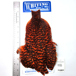Grizzly dyed Orange - Whiting Freshwater Streamer Rooster Cape (#1)