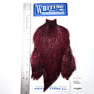Grizzly dyed Burgandy - Whiting Freshwater Streamer Rooster Cape (#1)