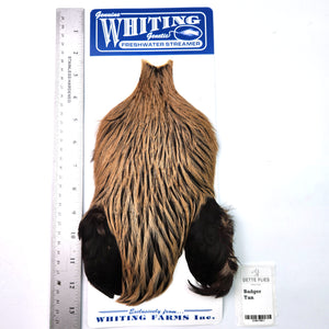 Badger dyed Tan - Whiting Freshwater Streamer Rooster Cape (#1)