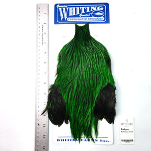Badger dyed Highlander Green - Whiting Freshwater Streamer Rooster Cape (#1)