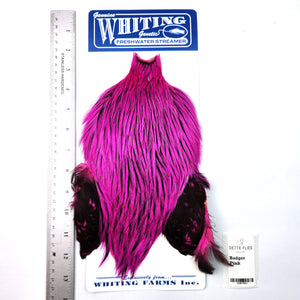 Badger dyed Pink - Whiting Freshwater Streamer Rooster Cape (#1)