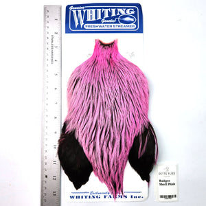 Badger dyed Shell Pink - Whiting Freshwater Streamer Rooster Cape (#1)