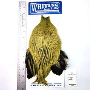 Badger dyed Olive - Whiting Freshwater Streamer Rooster Cape (#1)