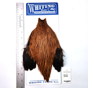 Badger dyed Brown - Whiting Freshwater Streamer Rooster Cape (#1)