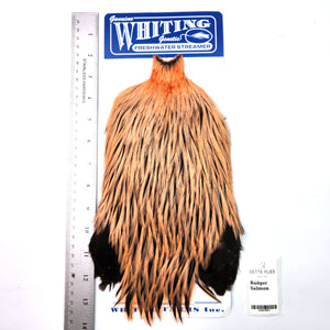 Badger dyed Salmon - Whiting Freshwater Streamer Rooster Cape (#1)