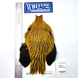 Badger dyed Golden Olive - Whiting Freshwater Streamer Rooster Cape (#1)