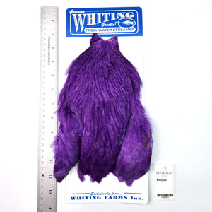 Purple - Whiting Freshwater Streamer Rooster Cape (#1)