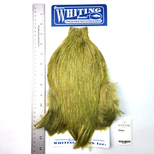Olive - Whiting Freshwater Streamer Rooster Cape (#1)