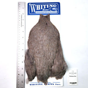 Medium Dun - Whiting Freshwater Streamer Rooster Cape (#1)