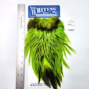 Badger dyed Fl Green Chartreuse - Whiting Freshwater Streamer Rooster Saddle (#1)