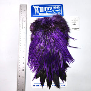 Badger dyed Purple - Whiting Freshwater Streamer Rooster Saddle (#1)