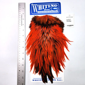 Badger dyed Orange - Whiting Freshwater Streamer Rooster Saddle (#1)