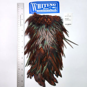 Badger dyed Coachman Brown - Whiting Freshwater Streamer Rooster Saddle (#1)