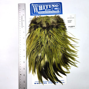 Badger dyed Olive - Whiting Freshwater Streamer Rooster Saddle (#1)
