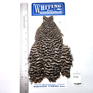 Grizzly - Whiting Freshwater Streamer Hen Cape (#1)