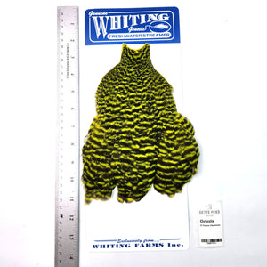 Grizzly dyed Fl Yellow Chartreuse - Whiting Freshwater Streamer Hen Cape (#1)