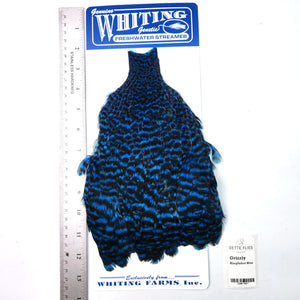 Grizzly dyed Kingfisher Blue - Whiting Freshwater Streamer Hen Cape (#1)