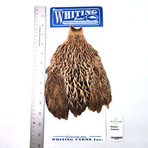 Badger dyed Salmon - Whiting Freshwater Streamer Hen Cape (#1)
