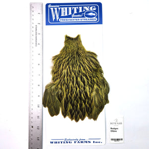 Badger dyed Olive - Whiting Freshwater Streamer Hen Cape (#1)