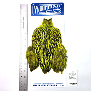 Badger dyed Fl Yellow Chartreuse - Whiting Freshwater Streamer Hen Cape (#1)