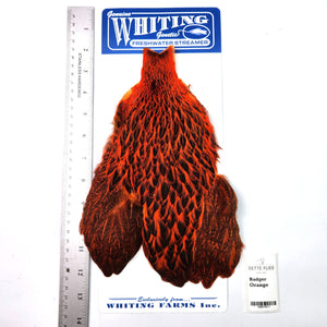 Badger dyed Orange - Whiting Freshwater Streamer Hen Cape (#1)