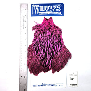 Badger dyed Pink - Whiting Freshwater Streamer Hen Cape (#1)