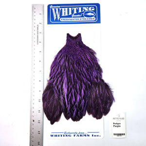 Badger dyed Purple - Whiting Freshwater Streamer Hen Cape (#1)