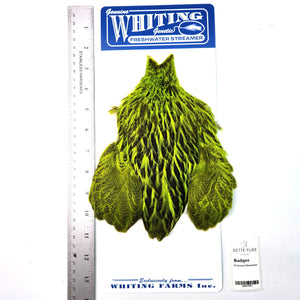 Badger dyed Fl Green Chartreuse - Whiting Freshwater Streamer Hen Cape (#1)