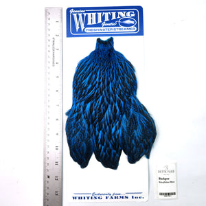 Badger dyed Kingfisher Blue - Whiting Freshwater Streamer Hen Cape (#1)