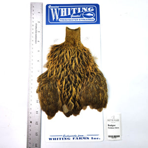 Badger dyed Golden Olive - Whiting Freshwater Streamer Hen Cape (#1)