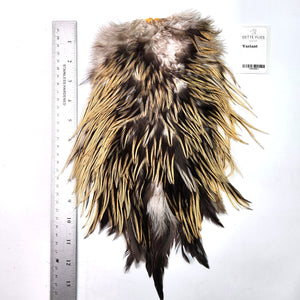 Variant - Whiting 4B Rooster Saddle (#1)