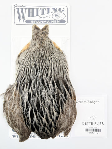 Cream Badger - Whiting Brahma Hen Cape