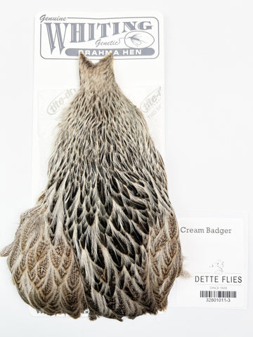 Cream Badger - Whiting Brahma Hen Cape