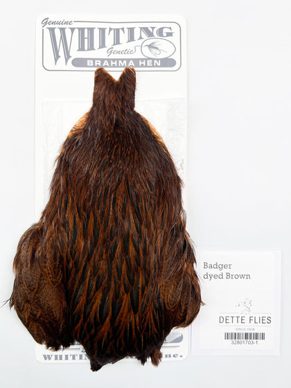 Badger dyed Brown - Whiting Brahma Hen Cape