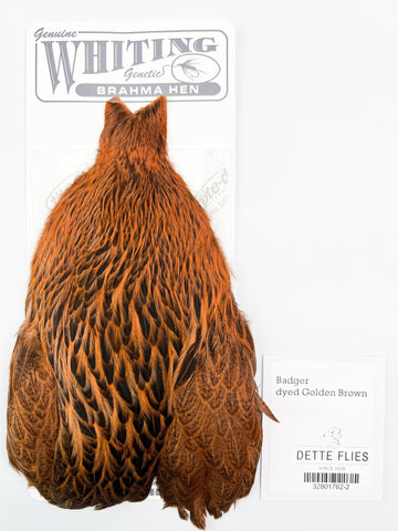 Badger dyed Golden Brown - Whiting Brahma Hen Cape