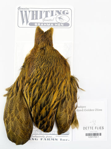 Badger dyed Golden Olive - Whiting Brahma Hen Cape