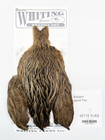 Badger dyed Tan - Whiting Brahma Hen Cape