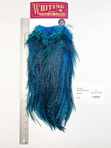 Grizzly dyed Kingfisher Blue - Whiting Coq de Leon Rooster Saddle | Silver Grade