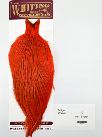 Badger dyed Orange - Whiting Coq de Leon Rooster Cape