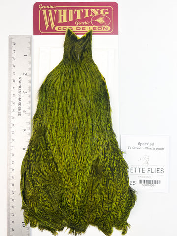 Speckled dyed Fl Green Chartreuse - Whiting Coq de Leon Hen Cape