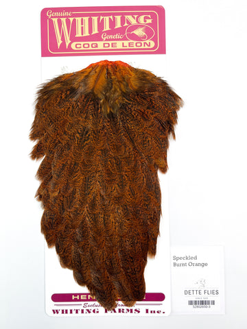 Speckled dyed Burnt Orange - Whiting Coq de Leon Hen Saddle